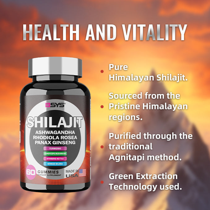 BSYS 8 in 1 Shilajit Gummies – Energy, Strength & Vitality (60 Gummies)